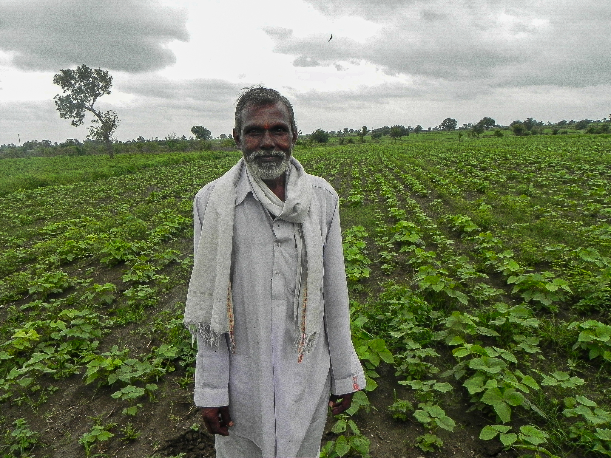 ManOnCottonFarm
