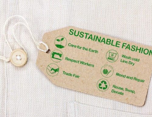 I settori fashion e food protagonisti di un progetto europeo sulla sostenibilità