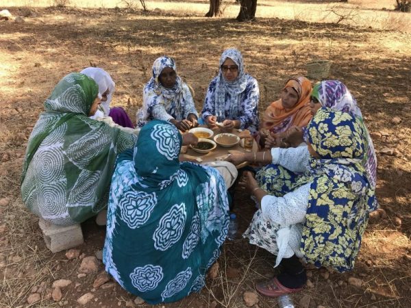 produttrici di olio di argan donne in marocco