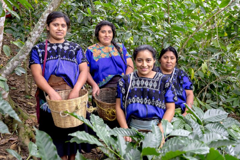 Donne coltivatrici per Tzeltal Tzotzil