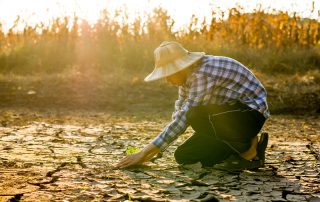 agricoltore al lavoro