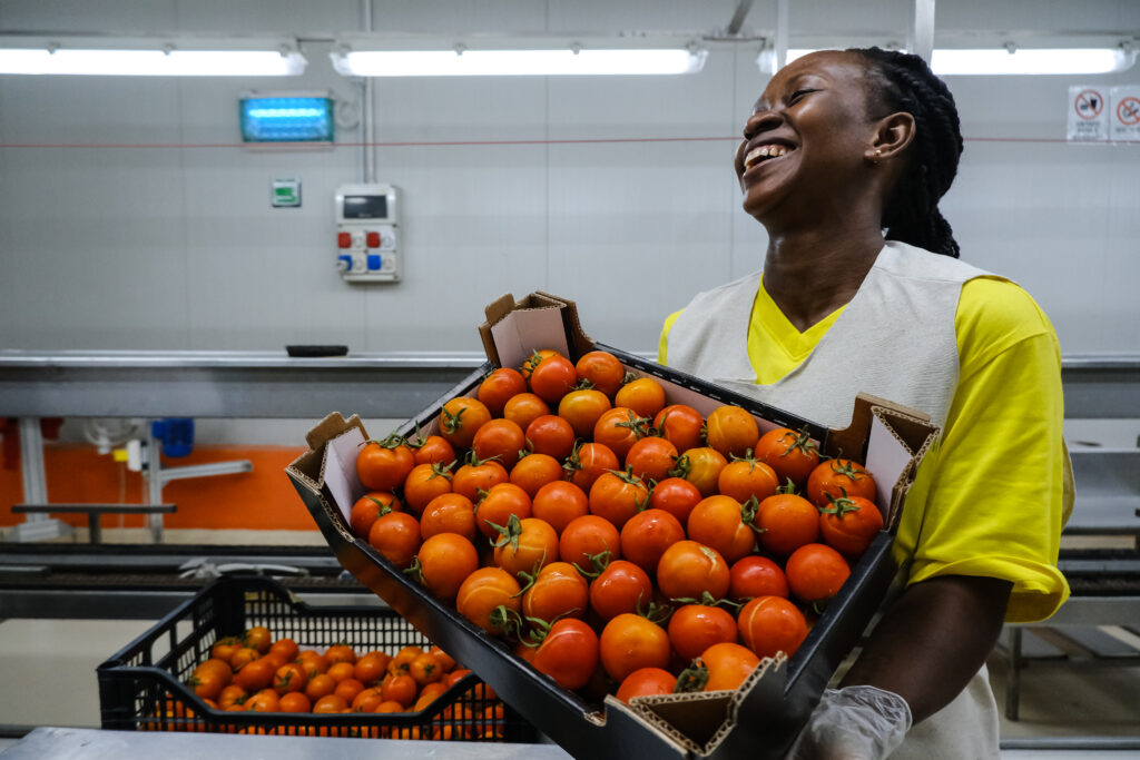 Lavorazione pomodoro - ragazza che ride