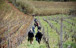 agricoltori e consumatori al di agroecologia