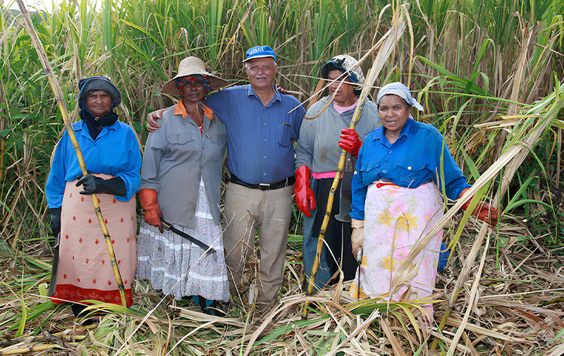 Gruppo coltivatori di zucchero Demerara