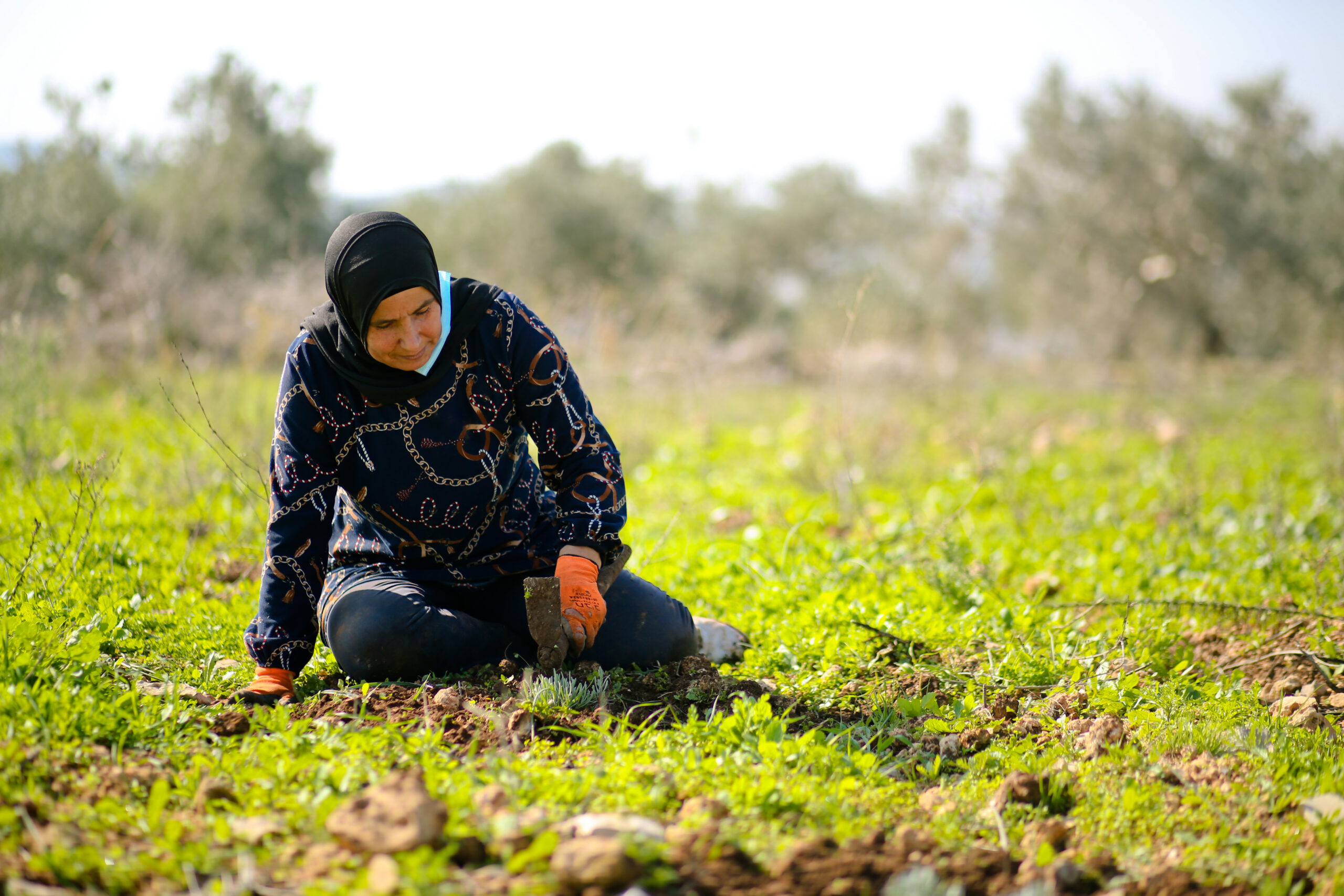 lavoratrice palestinese in un campo