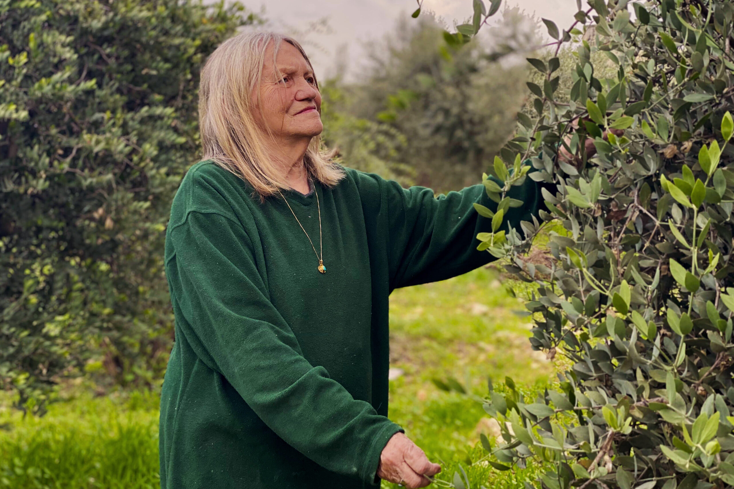 donna_palestina_progetto_felcos1 donna in Palestina progetto Felcos