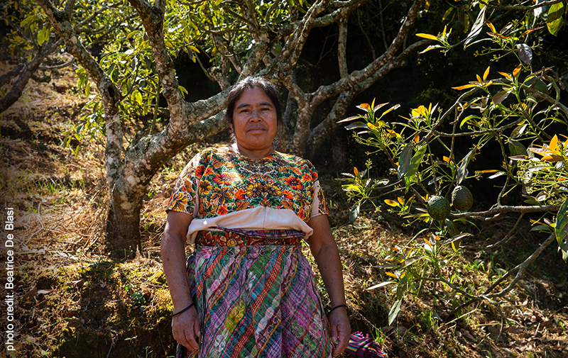 produttore di cacao nella provincia di Manbì, Ecuador