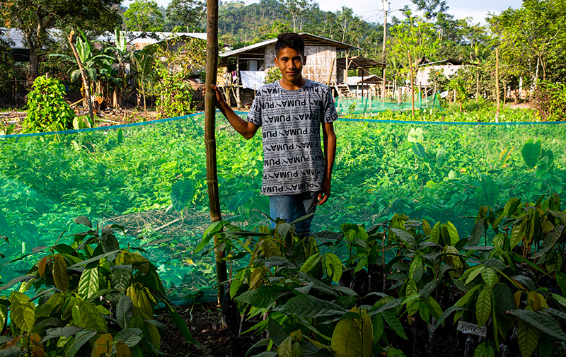 produttore di cacao nella provincia di Manbì, Ecuador
