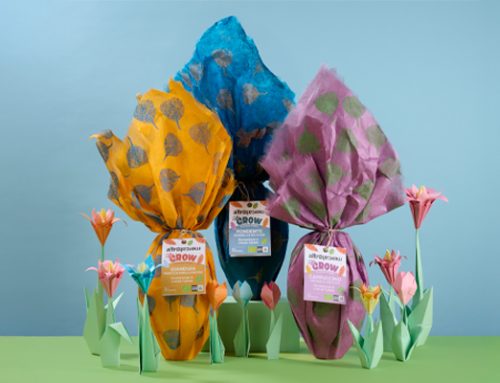 Pasqua 2026: Uova di Pasqua solidali GROW, la sorpresa che mette radici in Colombia