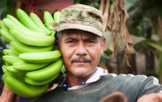 produttore di banane