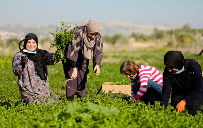 AOWA : Association of Women’s Action for Training & Rehabilitation