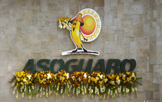 Cover logo asoguabo