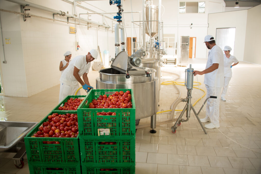 Lavorazione pomodori Valdibella