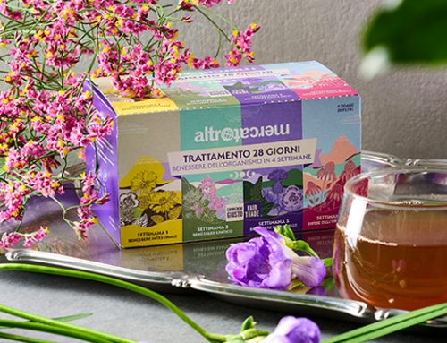 Benefici delle tisane: 28 giorni per scoprirli