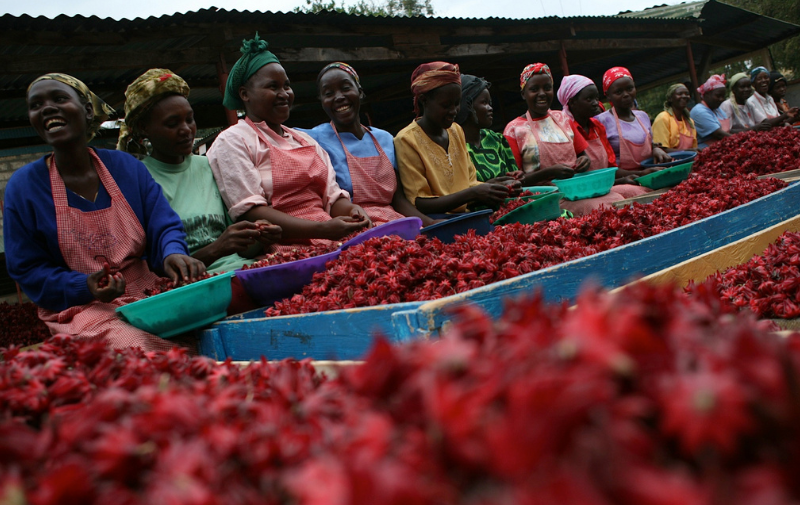 shampoo doccia natyr