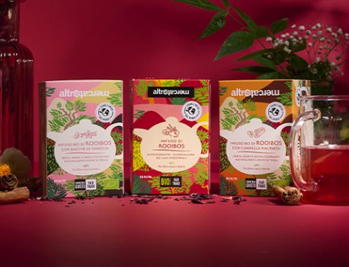 Rooibos: origine, gusto e nuovi infusi da scoprire