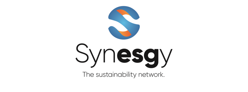 Synesgy logo